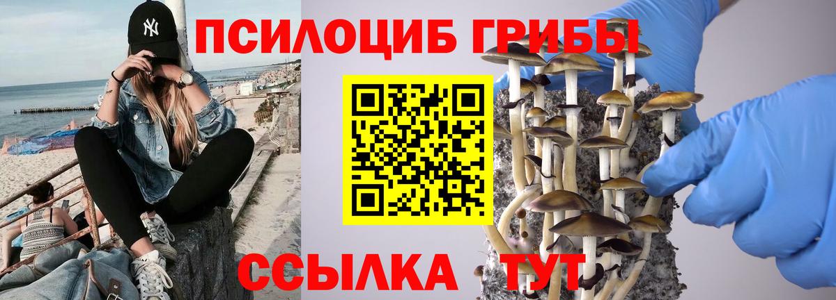 Псилоцибиновые грибы Magic Shrooms  Вход с VPN  Псилоцибиновые грибы Psilocybine cubensis  где продают наркотики  Волгоград 